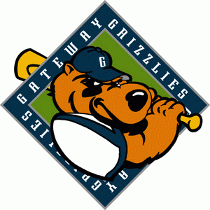 Gateway Grizzlies 2001-Pres Primary Logo iron on transfers for clothing